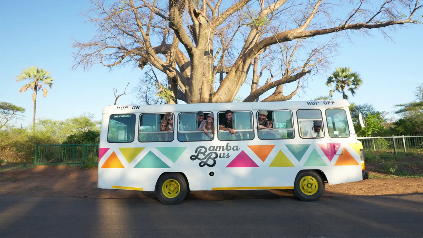 The Bamba Bus parked under the Big Tree with guests waving from the windows